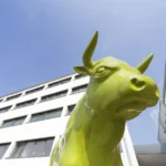 Bonnox Boardinghouse und Hotel Aussenansicht mit Stier