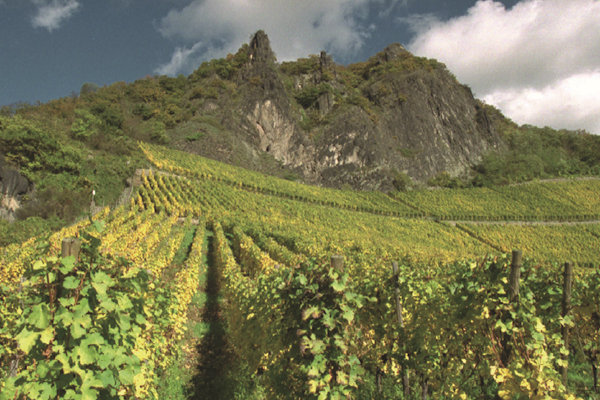 Drachenfels Weinberg Weingut Pieper