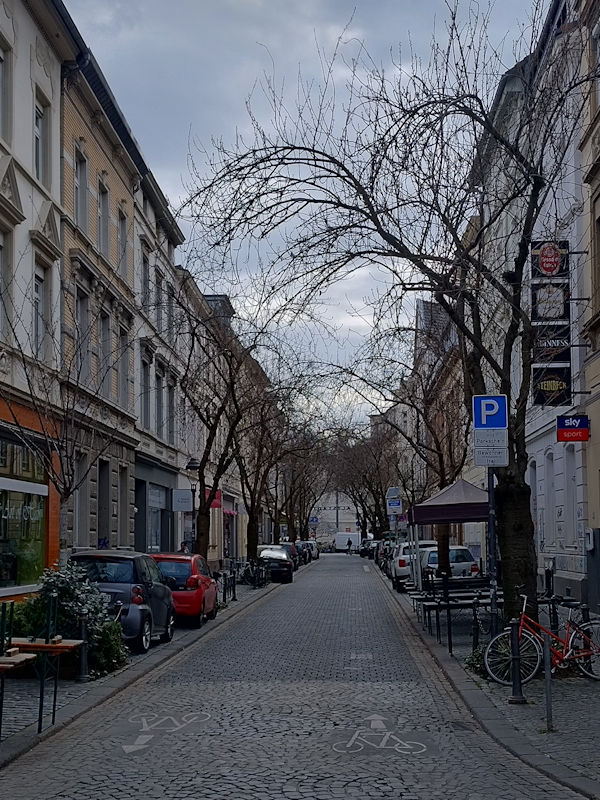 Kirschblüte Bonn Breite Straße 10.03.2026 Blühstatus