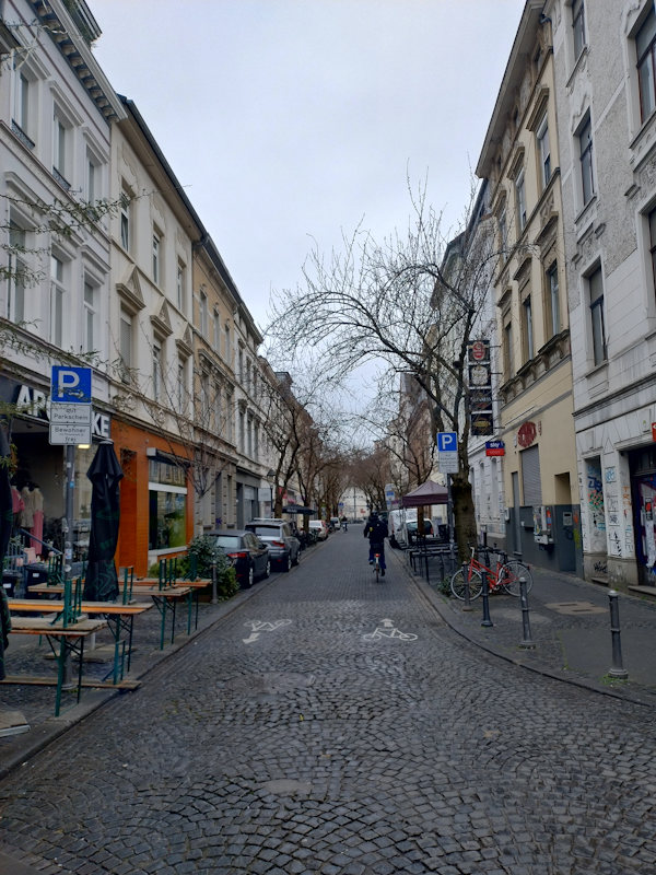 Kirschblüte Bonn Breite Straße 17.03.2026 Blühstatus