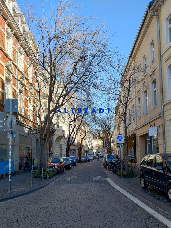 Kirschblüte Bonn Breite Straße 18.03.2026 Blühstatus