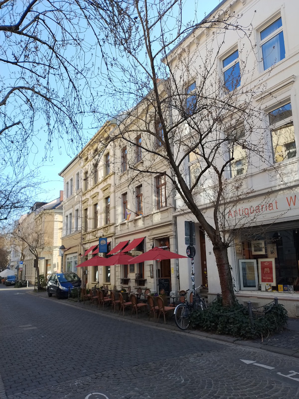 Kirschblüte Bonn Breite Straße 19.03.2026 Blühstatus