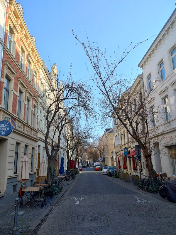 Kirschblüte Bonn Breite Straße 21.03.2026 Blühstatus