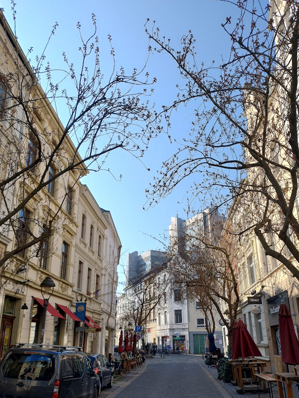 Kirschblüte Bonn Breite Straße 22.03.2026 Blühstatus