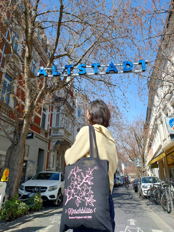 Kirschblüte Bonn Breite Straße 23.03.2026 Blühstatus