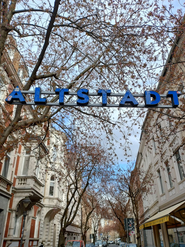 Kirschblüte Bonn Breite Straße 25.03.2026 Blühstatus