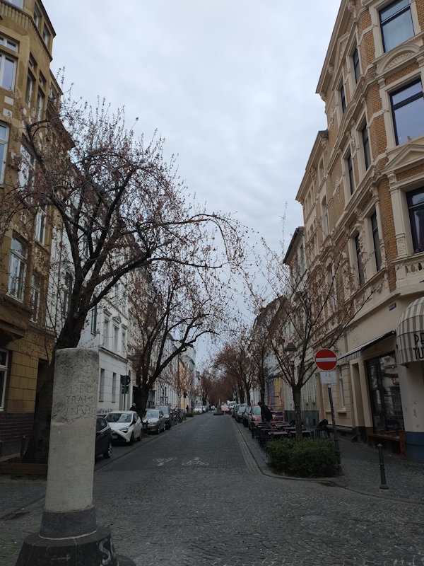 Kirschblüte Bonn Heerstraße 24.03.2026 Blühstatus